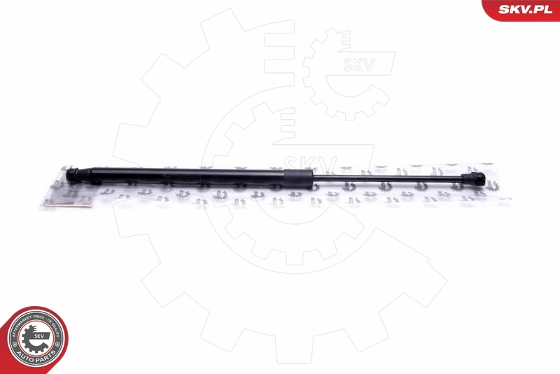 Gas Spring, boot/cargo area